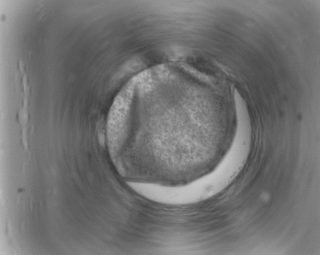 X0000061150719200512091959