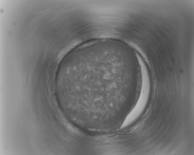 X0000061150721200512091958