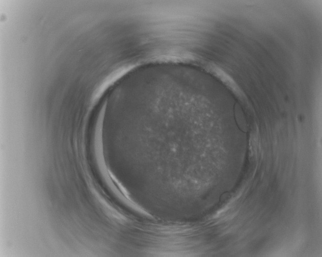 X0000061150722200512091958