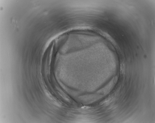 X0000061150724200512091958