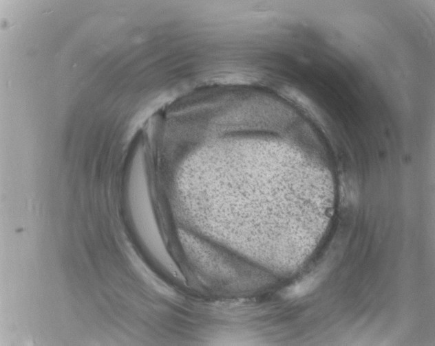 X0000061150725200512091958