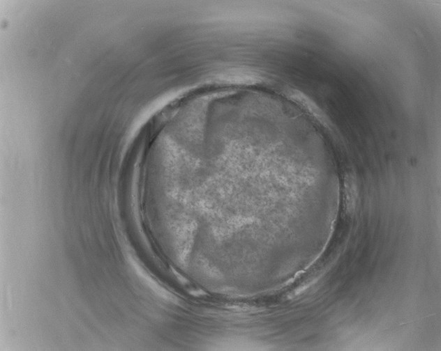 X0000061150726200512091958