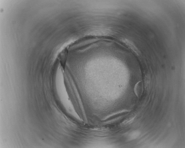 X0000061150727200512091958