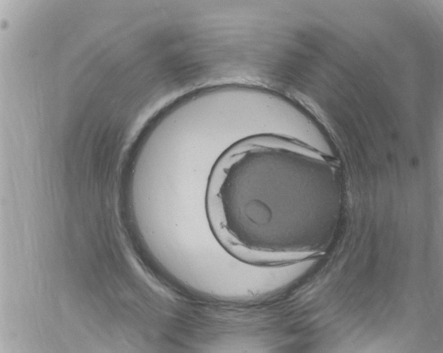 X0000061150728200512091958