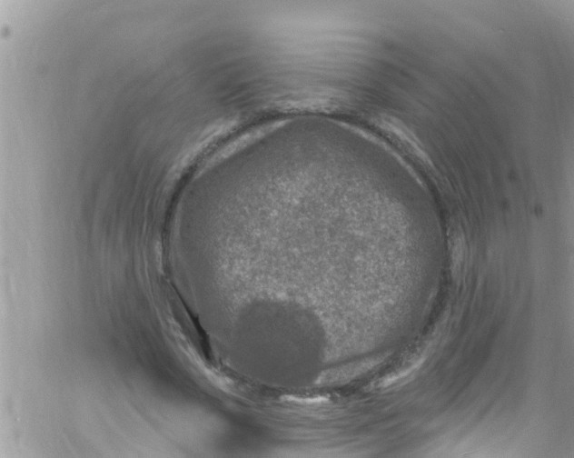 X0000061150729200512091958