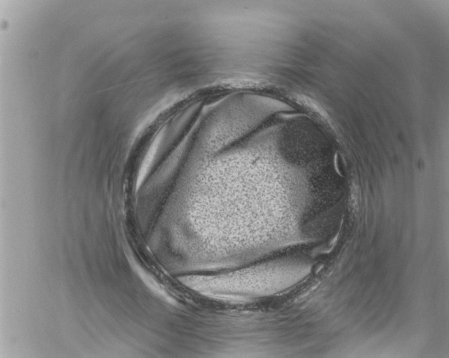 X0000061150730200512091958