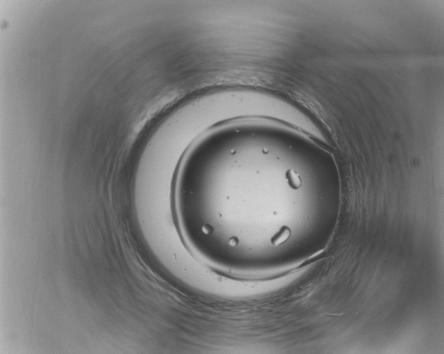 X0000061150731200512091958