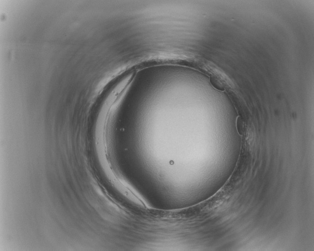 X0000061150732200512091958