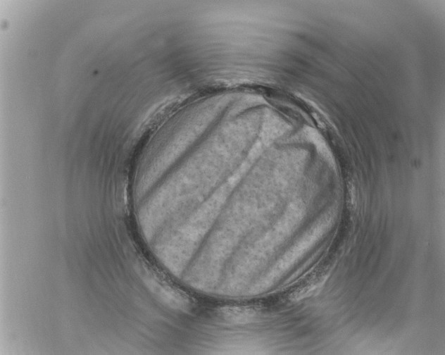 X0000061150733200512091958