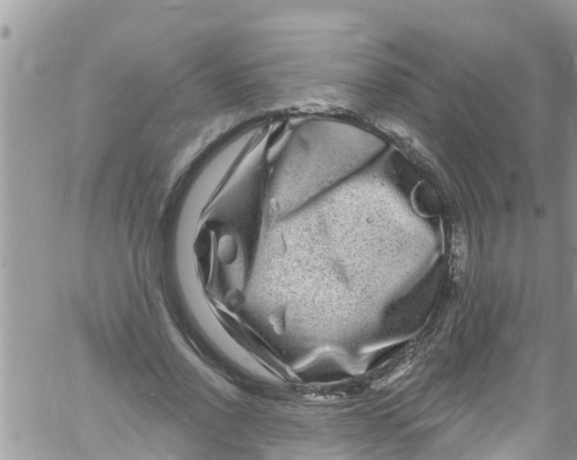 X0000061150734200512091959