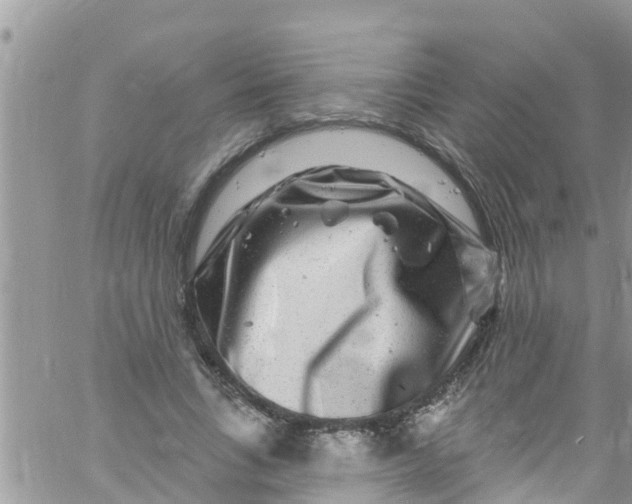 X0000061150735200512091959