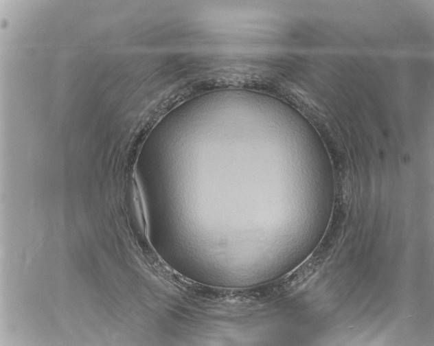 X0000061150737200512091959