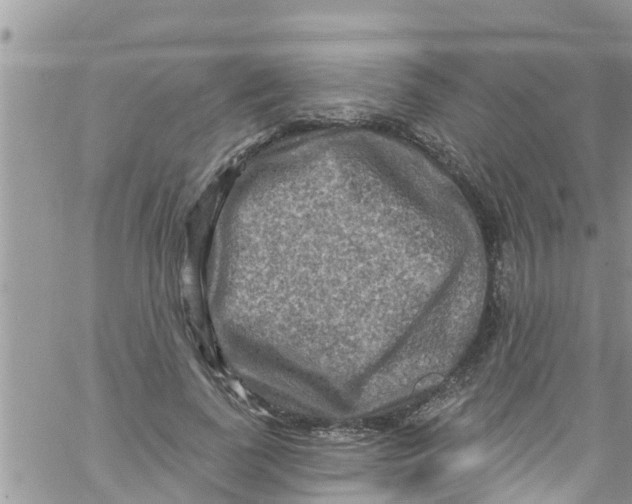 X0000061150739200512091959