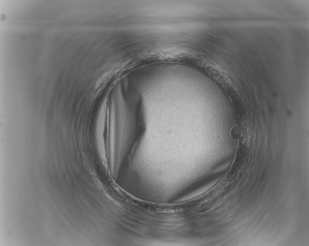 X0000061150740200512091959