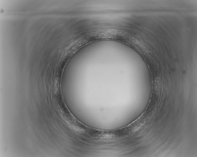 X0000061150741200512091959