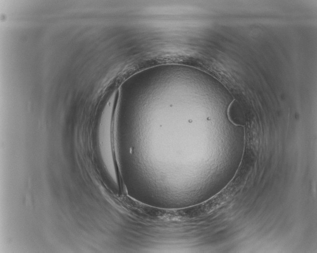 X0000061150742200512091959