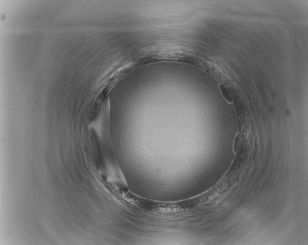 X0000061150744200512091959