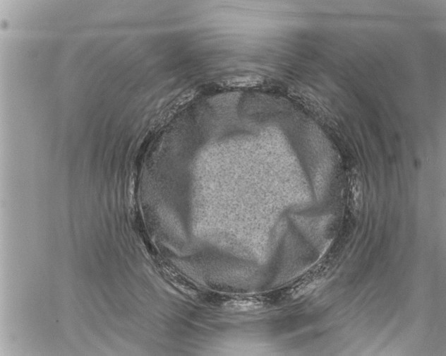 X0000061150745200512091959