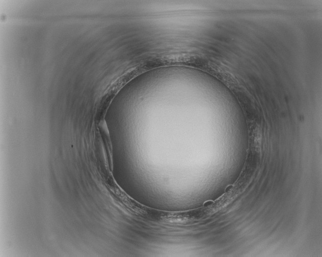 X0000061150746200512091959