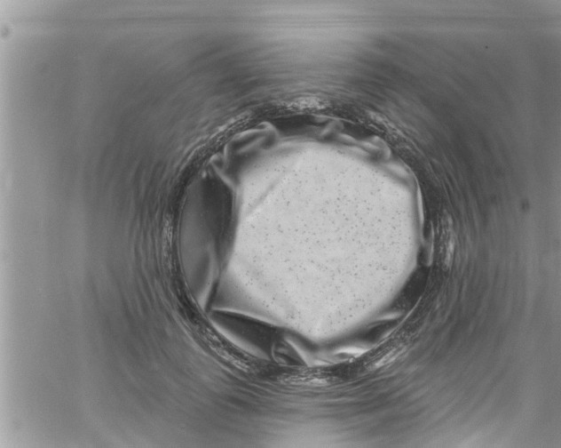 X0000061150747200512091959