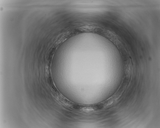 X0000061150749200512091959