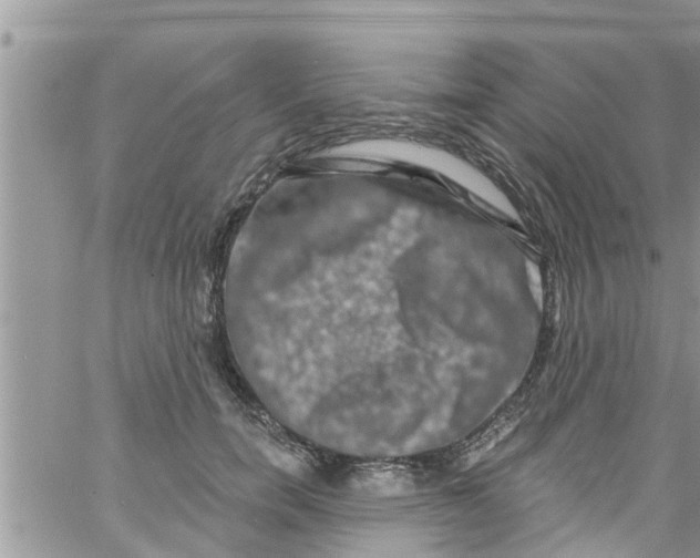 X0000061150750200512091959