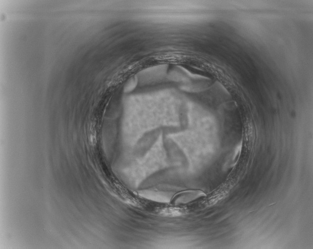 X0000061150751200512091959