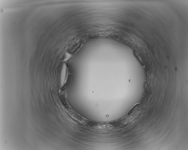 X0000061150752200512091959