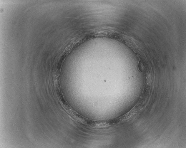 X0000061150753200512091959