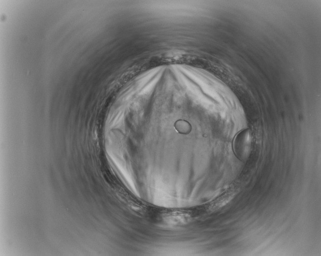 X0000061150754200512091959