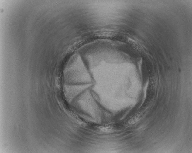 X0000061150755200512091959