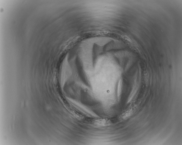 X0000061150757200512091959