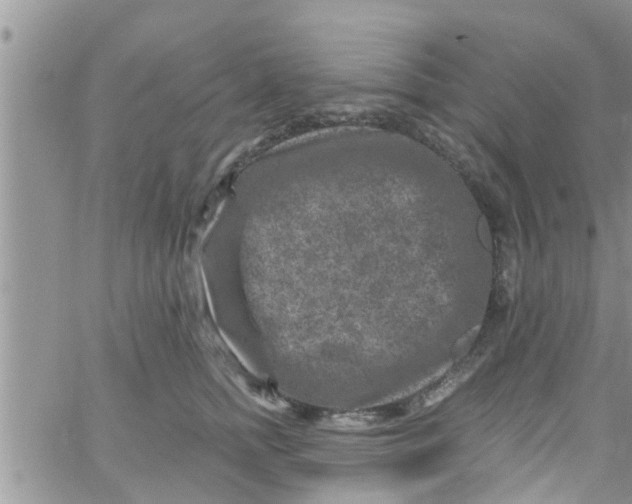 X0000061150758200512091959