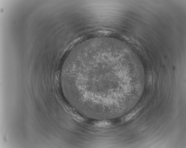 X0000061150759200512091959