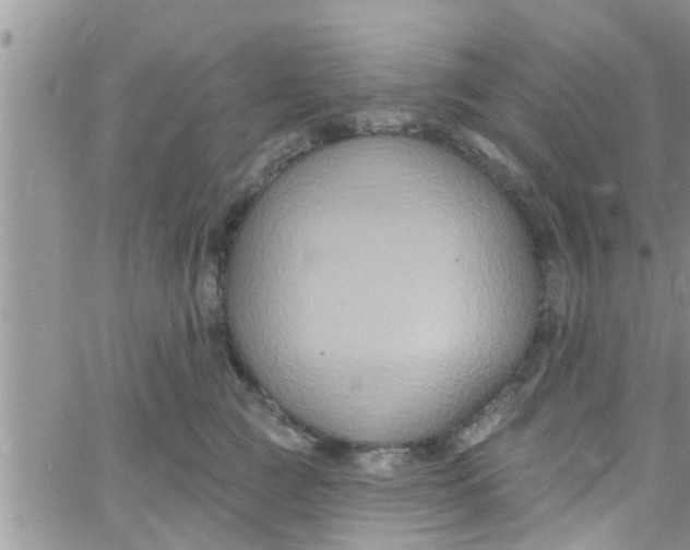 X0000061150761200512091959