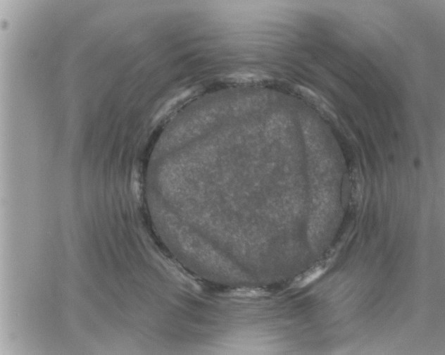 X0000061150762200512091959