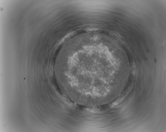 X0000061150763200512091959