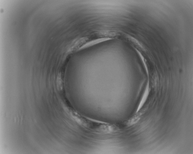 X0000061150764200512091959