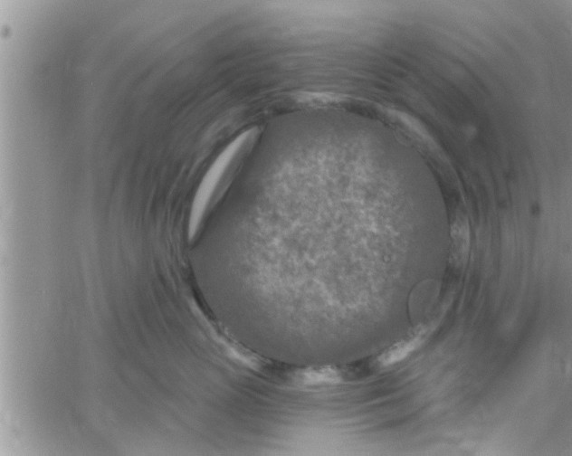 X0000061150765200512091959