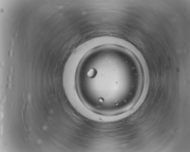 X0000061150766200512091959