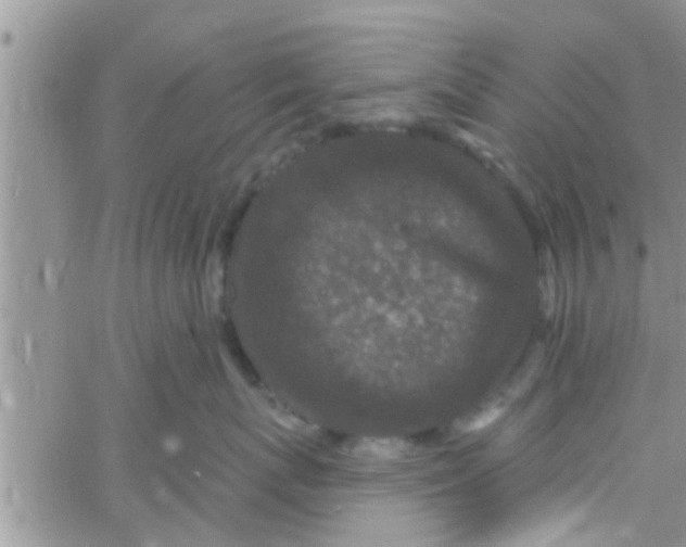 X0000061150767200512091959