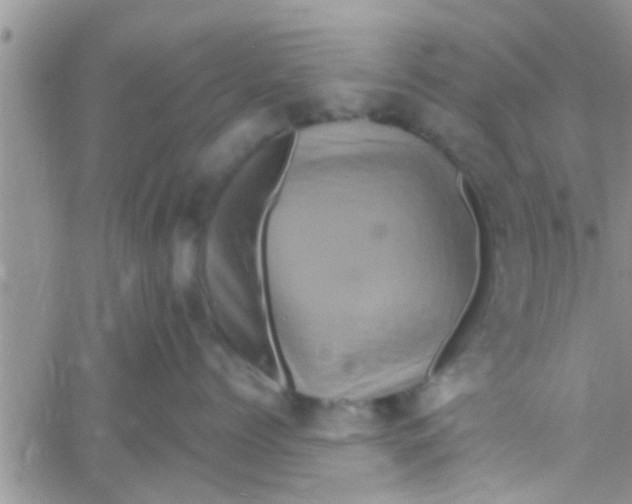 X0000061150768200512091959