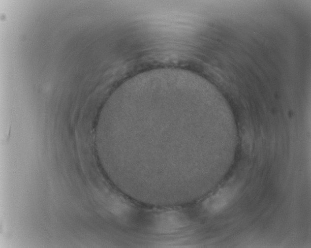 X0000061150769200512091958