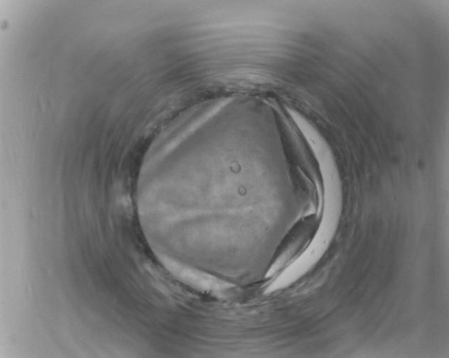 X0000061150771200512091958