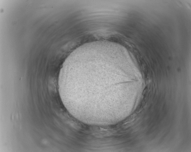 X0000061150772200512091958