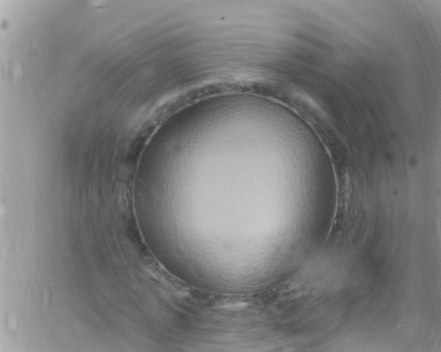 X0000061150773200512091958