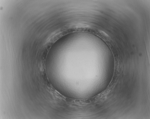 X0000061150774200512091958