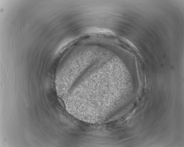 X0000061150775200512091958