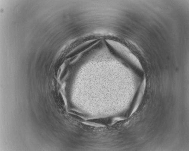 X0000061150776200512091958