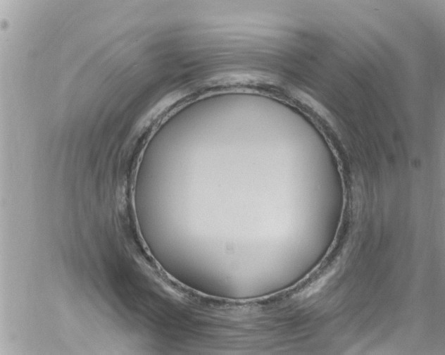 X0000061150778200512091958